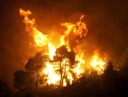 incendie de forêt